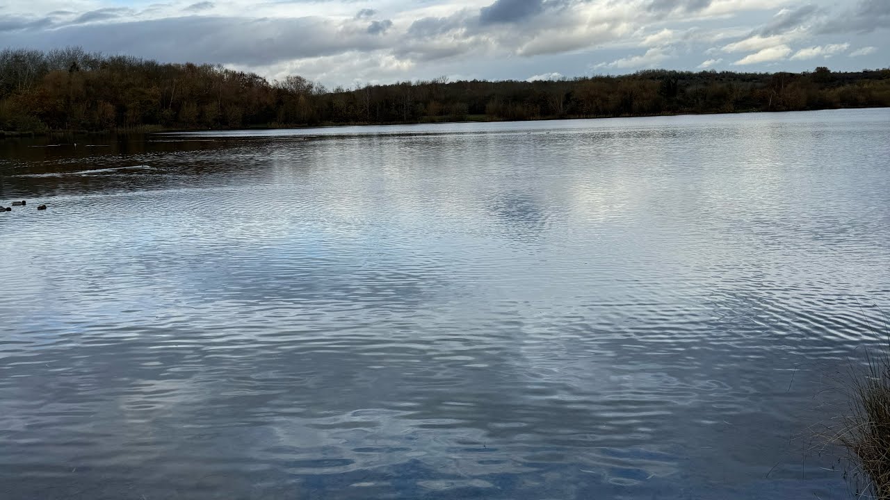 Rother Valley Country Park in The Rain  - Vlog 33
