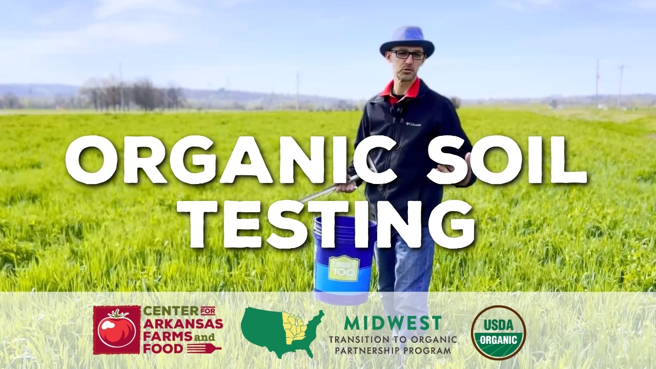 Organic Soil Testing: 5 Steps for Success