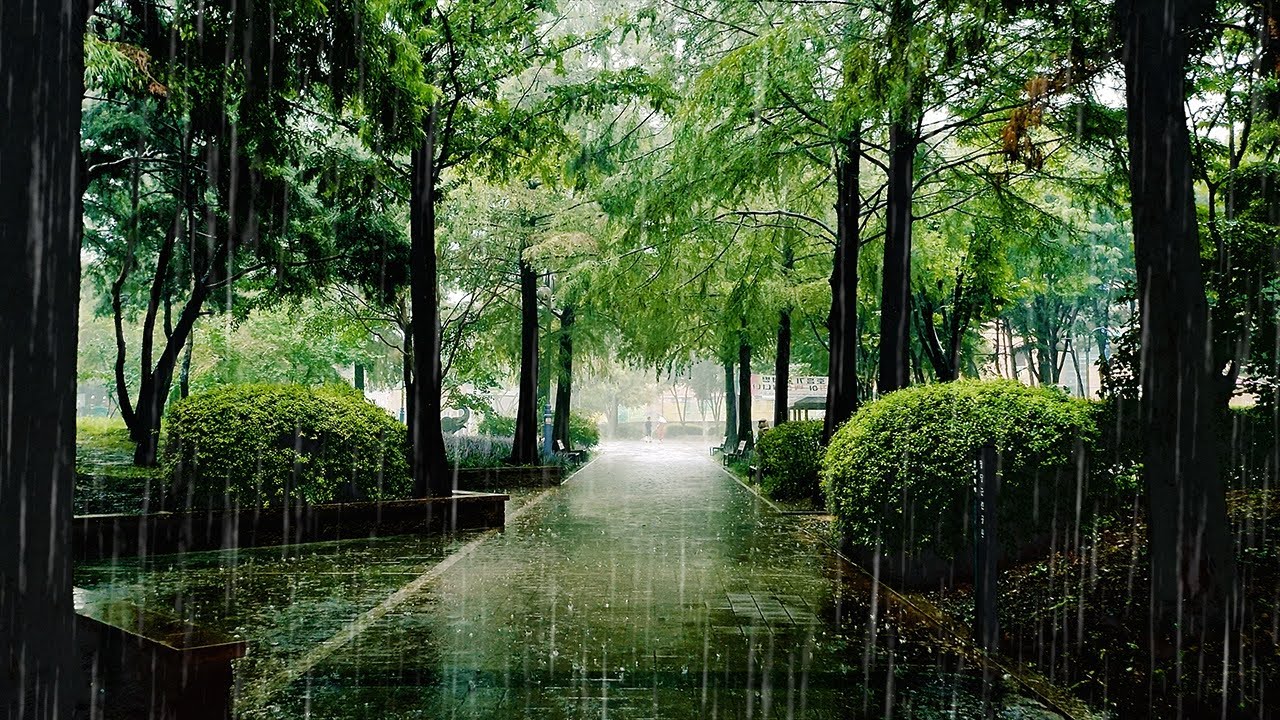 [Прогулка под дождем] Прогулка в парке в Корее в дождливый день, Pyeongtaek Jangdang Park