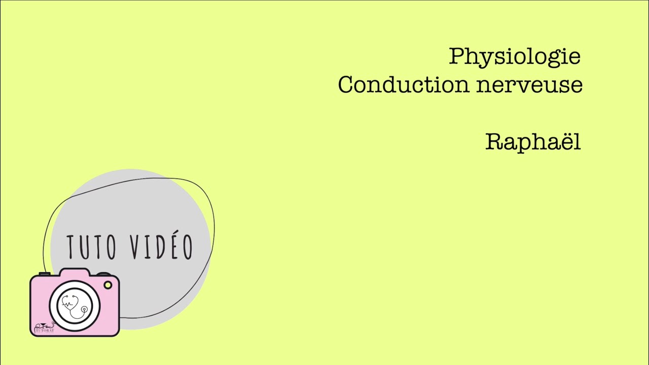 Physiologie &ndash; Conduction nerveuse