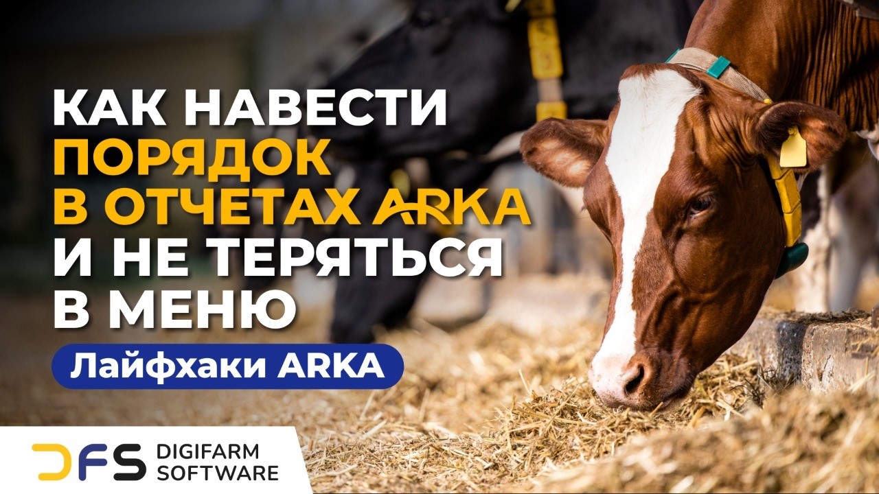 Лайфхаки AРKA. Как сделать меню.