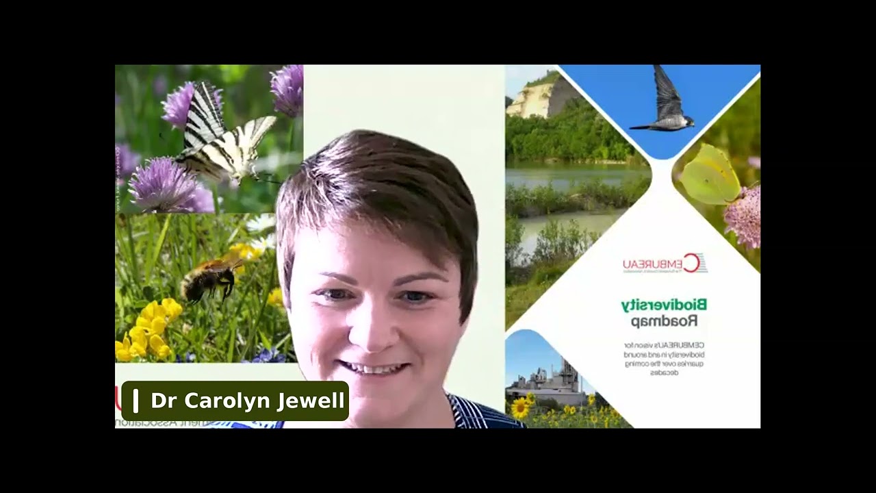 What's buzzing in our quarries? The European cement sector gives pollinators a helping hand.