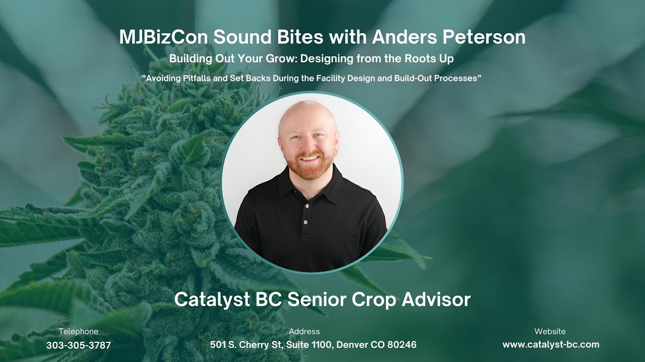Expert Advice on Cannabis Facility Design from Catalyst BC&rsquo;s Anders Peterson