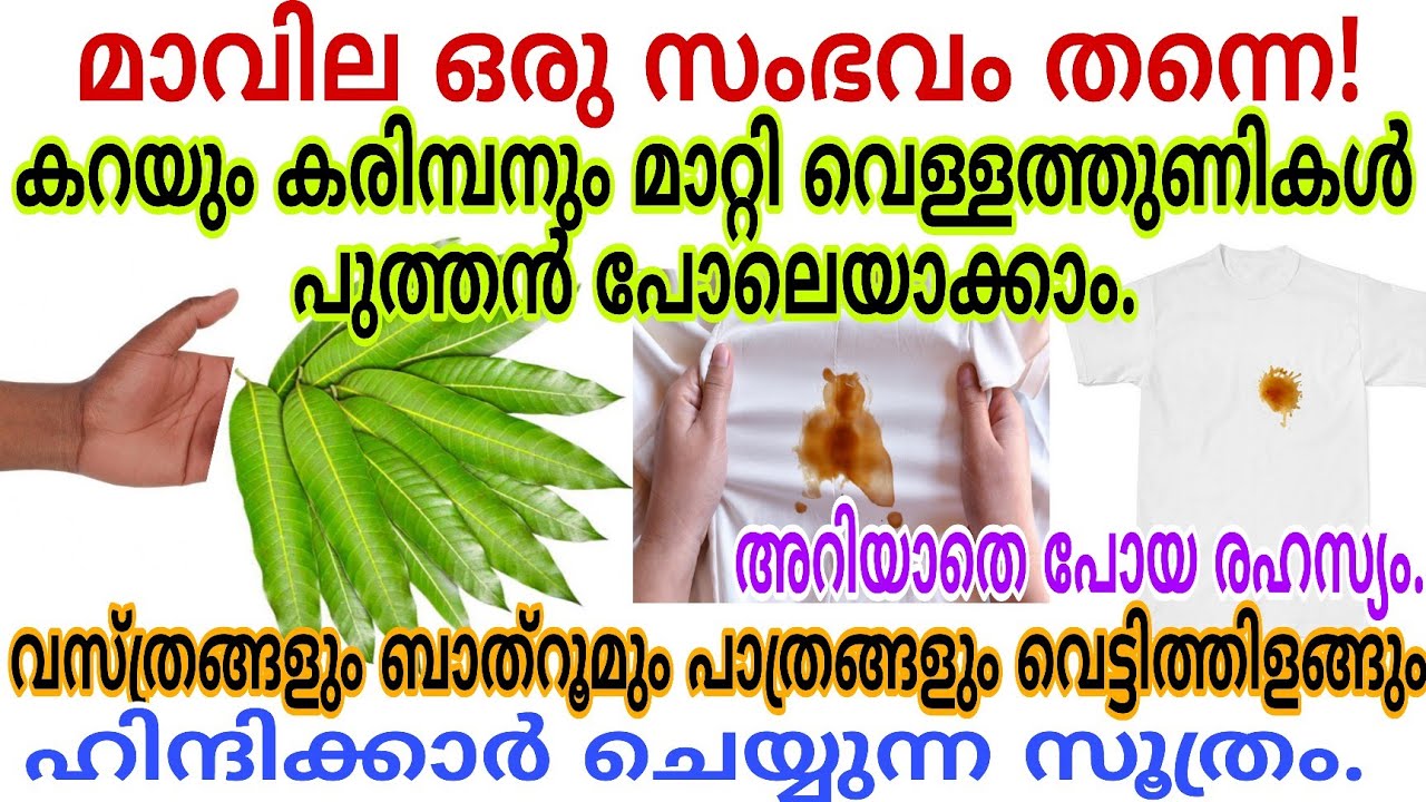 മാവില ഞെട്ടിച്ചു കളഞ്ഞു|വസ്ത്രങ്ങളും പാത്രങ്ങളും ബാത്റൂമും കറയും കരിമ്പനും മാറി പളപള തിളങ്ങും #tips
