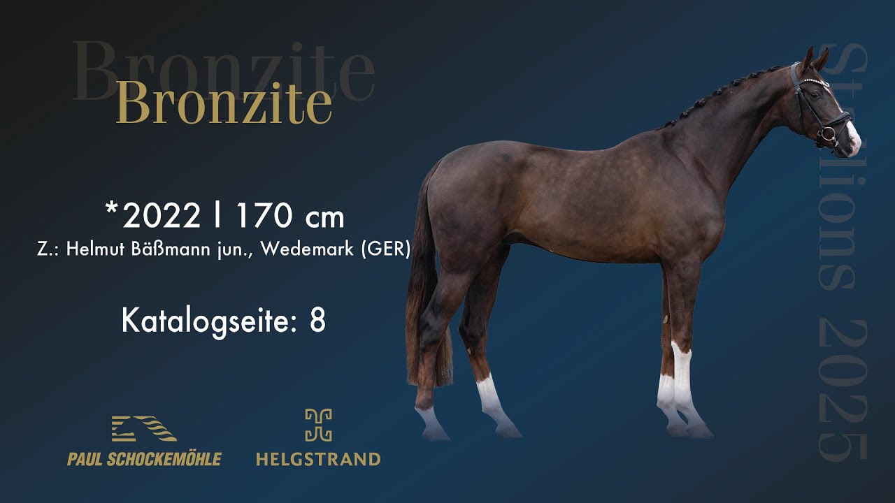 Bronzite