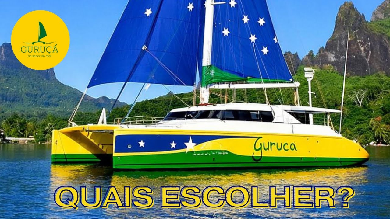 359| QUAIS CORES ESCOLHER PARA PINTARMOS O NOVO GURUÇÁ?
