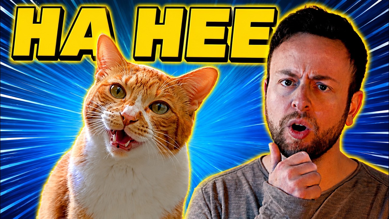Chai Kichi x Spaul HA HEE (Singing Cat) KIFFNESS style AHENG HAHENG