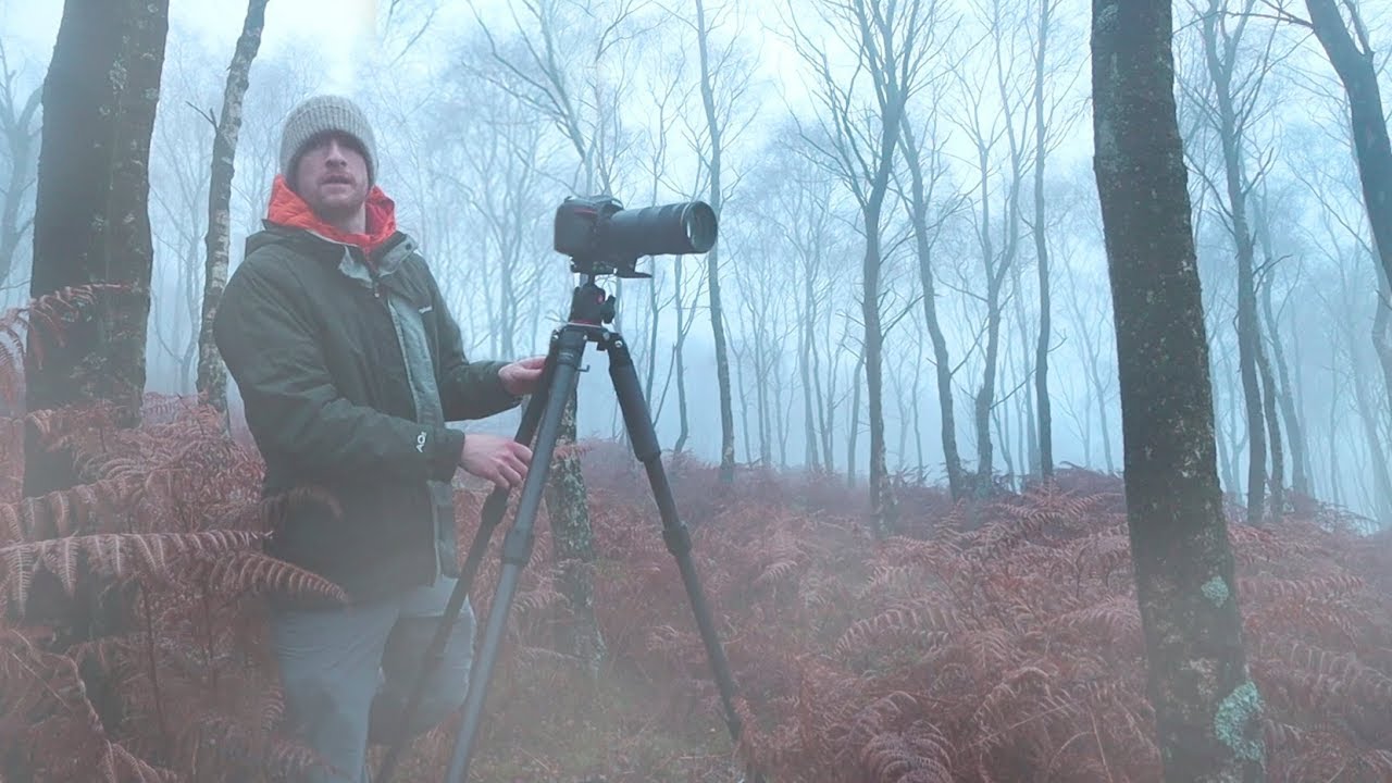 Beautifuly Miserable Landscape Photography
