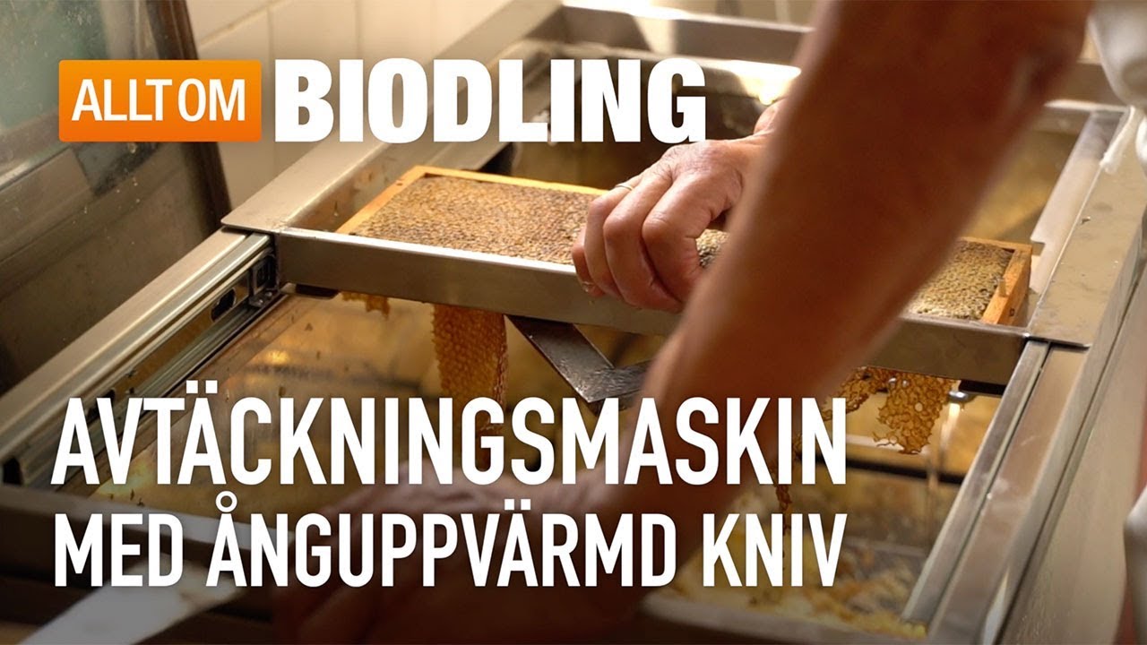 Avtäckningsmaskin med ånguppvärmd kniv - Honungshantering - Biodling