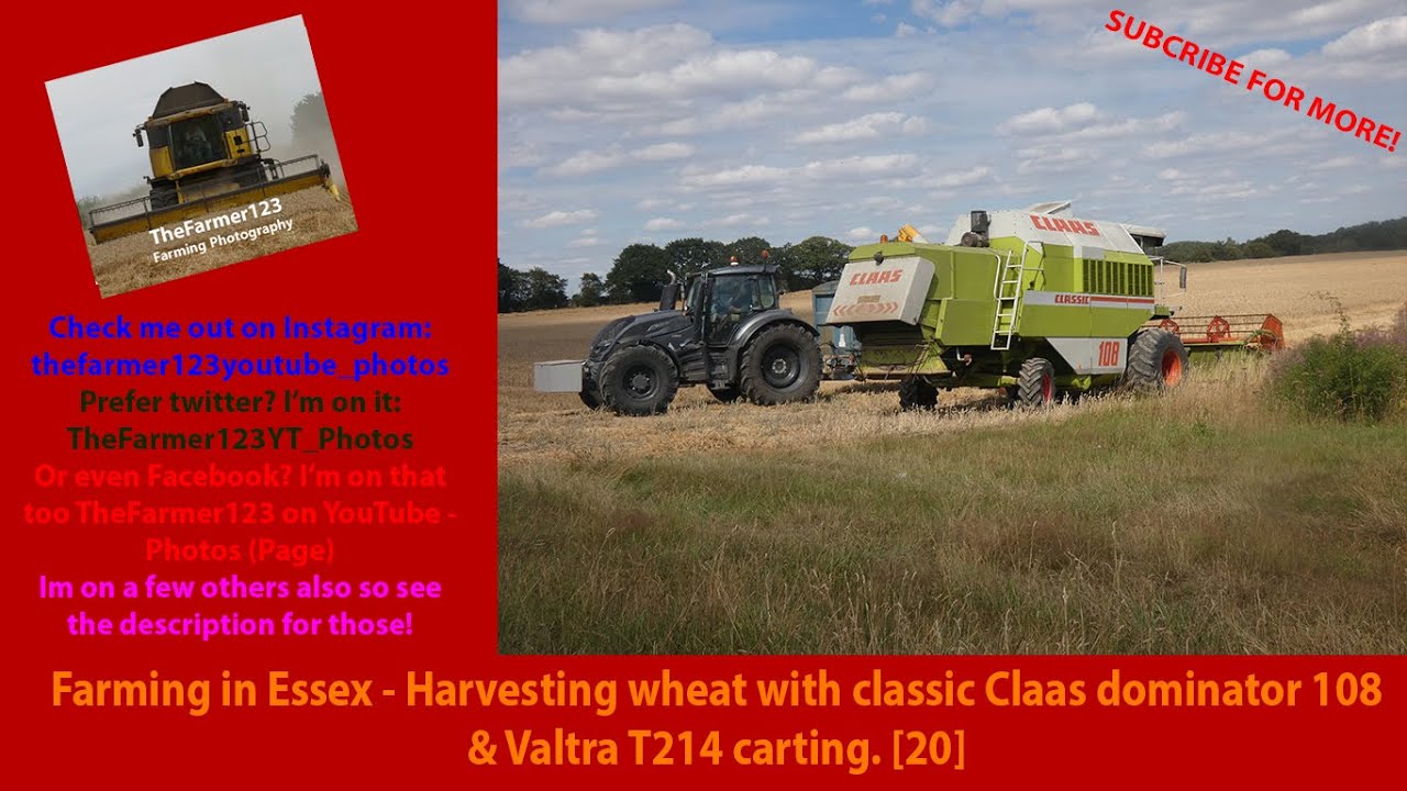 Farming in Essex - Harvesting wheat with classic Claas dominator 108 & Valtra T214 carting. [20]