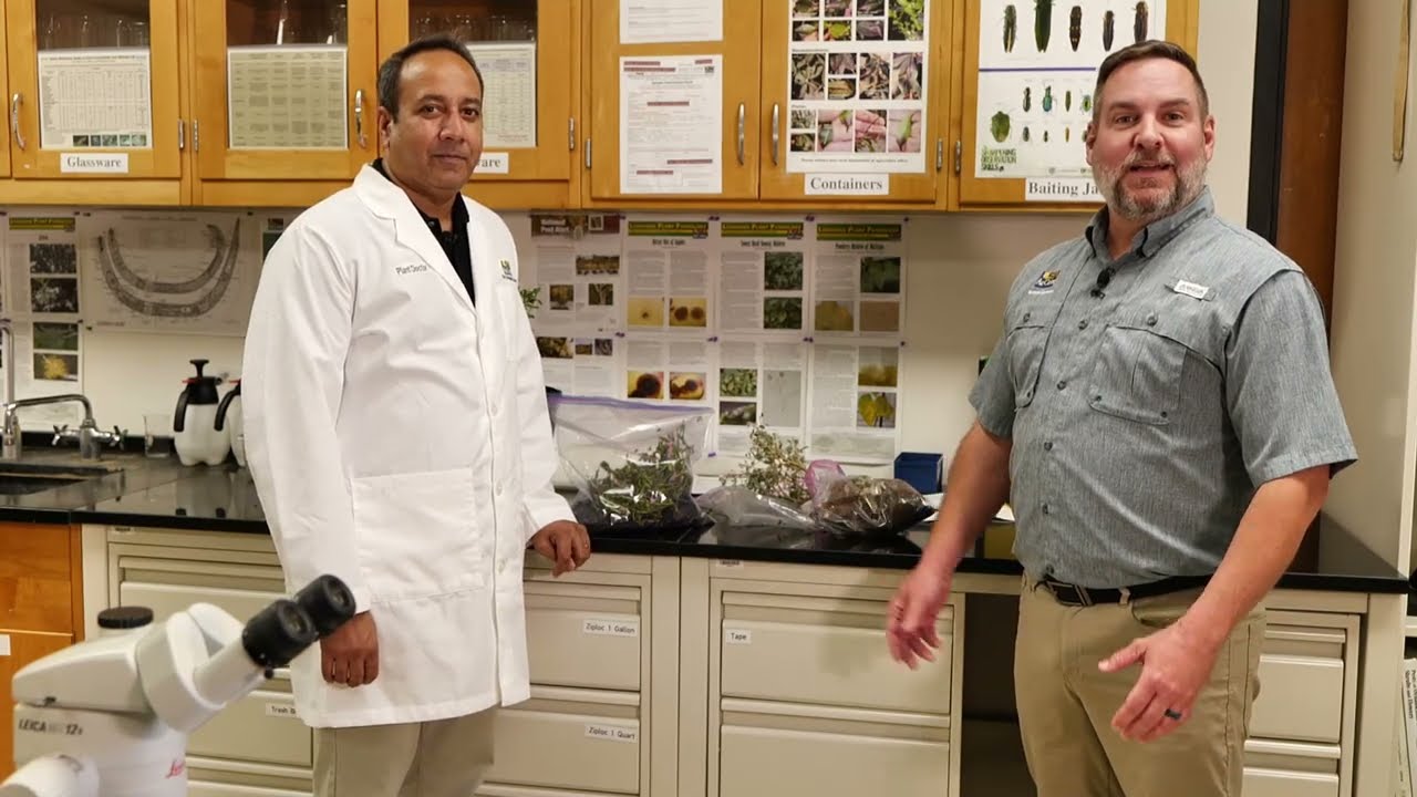 Get It Growing: Send proper plant samples