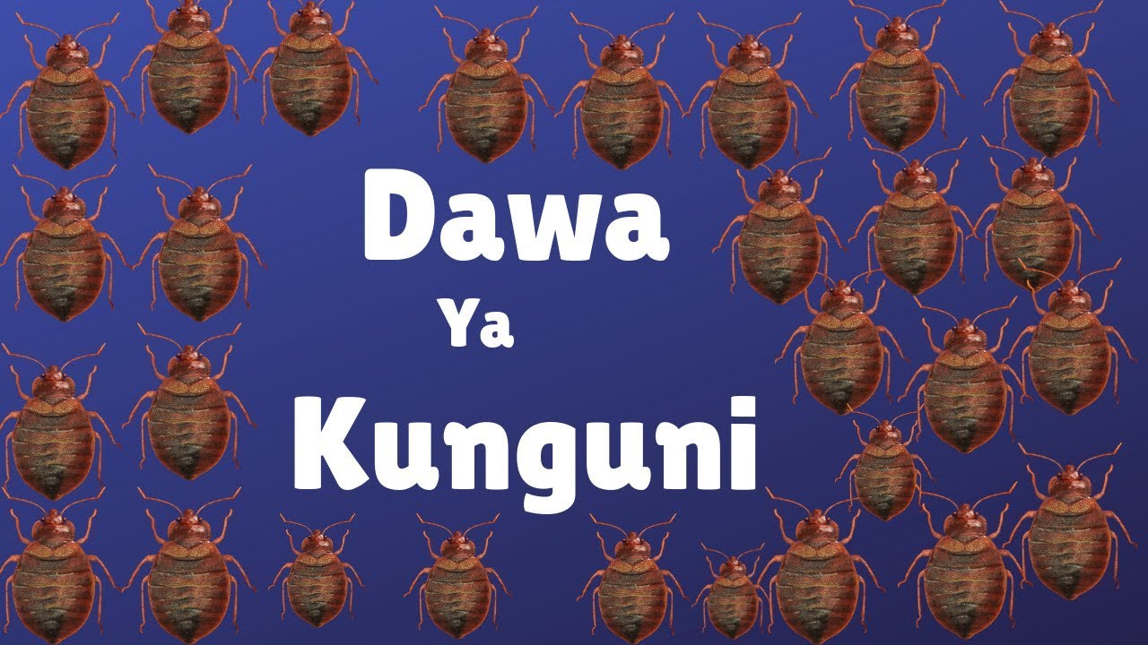 Mbinu Ya  Kuua Kunguni mara 1 tu