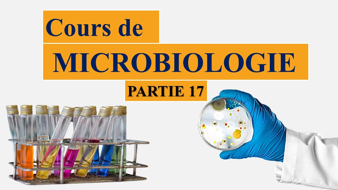 Cours de microbiologie partie 17: métabolisme bactérien