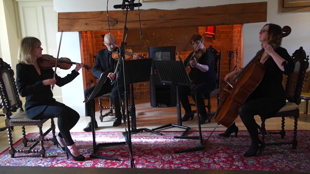 Capriccio Quartet - Love Me Like You Do - by Ellie Goulding. Arr by Kate Griesinger