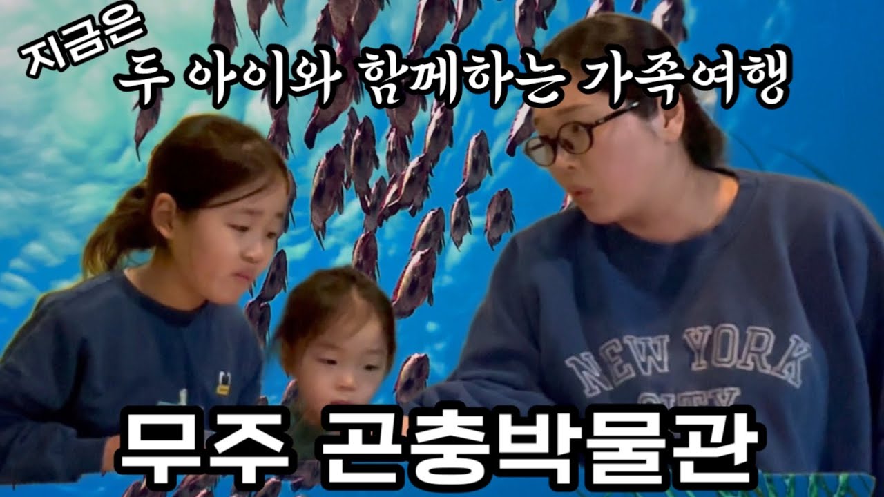 [가족여행기-전남] 무주곤충박물관 방뮨기, 빛나는 별인줄 알았던 반딪불이와 곤충들을 탐험하러