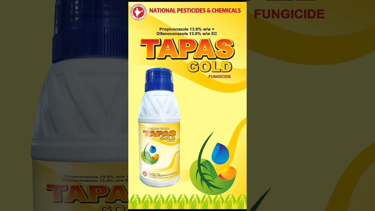 TAPAS GOLD - Propiconazole 13.9% w/w + Difenoconazole 13.9% w/w EC (Fungicide)