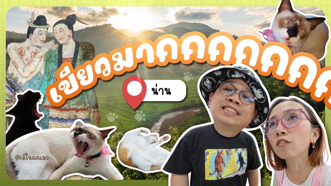 น่านไง... แมวเต็มเลย! 😹