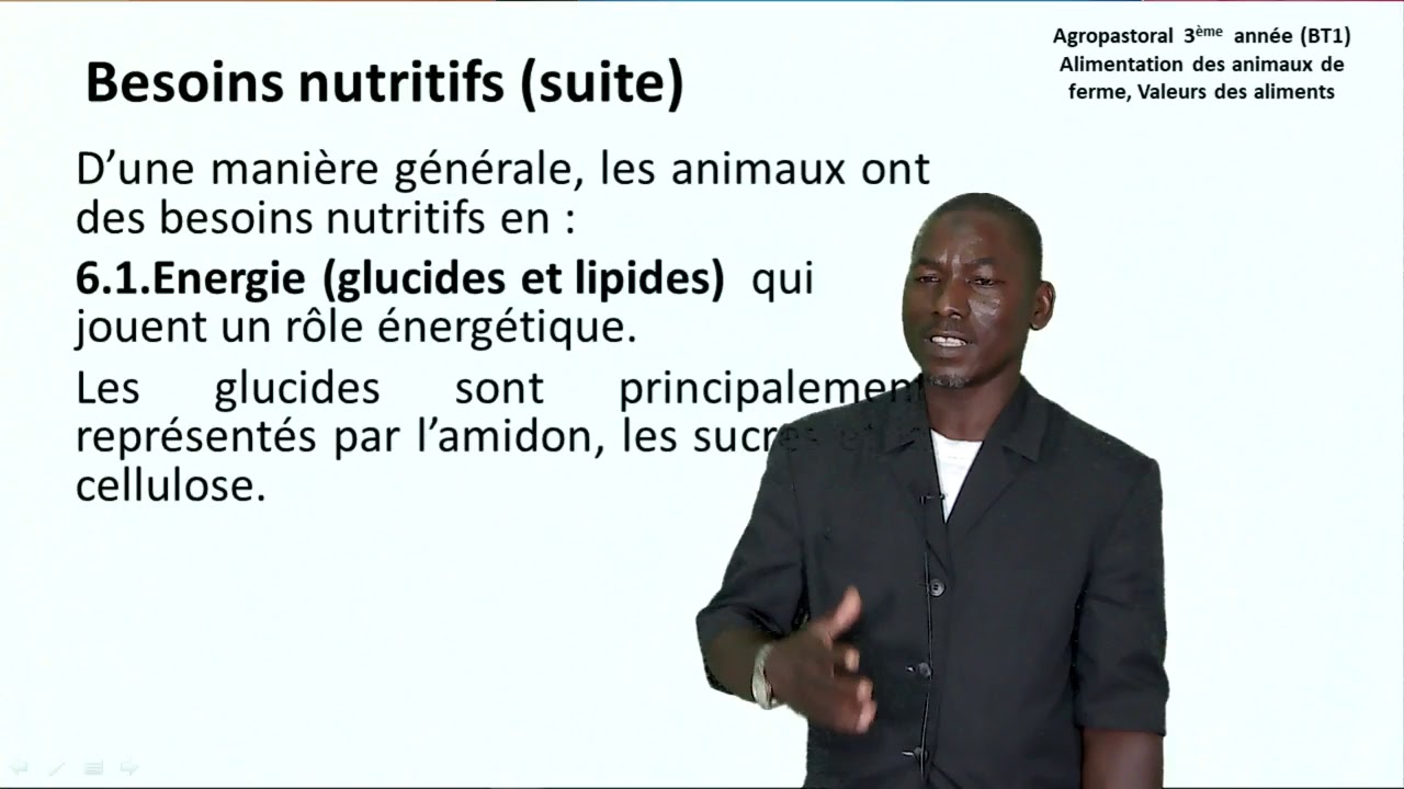 Agropastoral : Alimentation des animaux de ferme, Valeurs des aliments #3