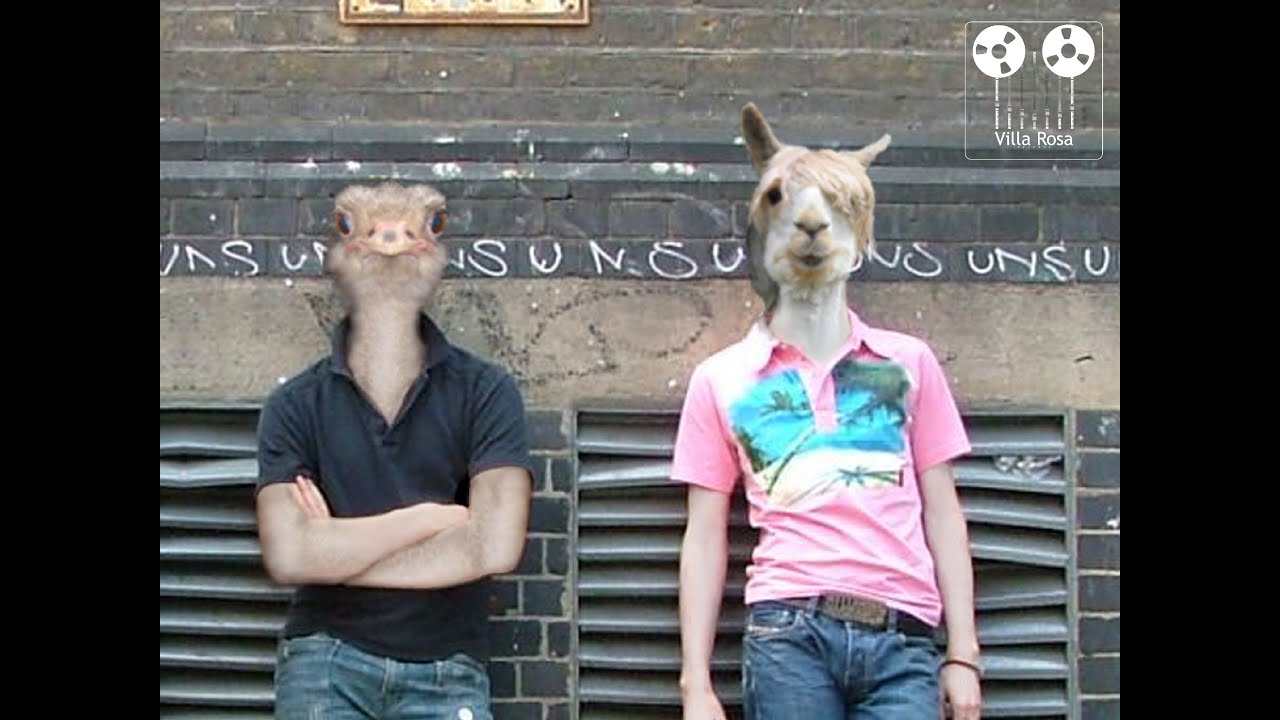 Villa Rosa - Aurora Warszawa koncert