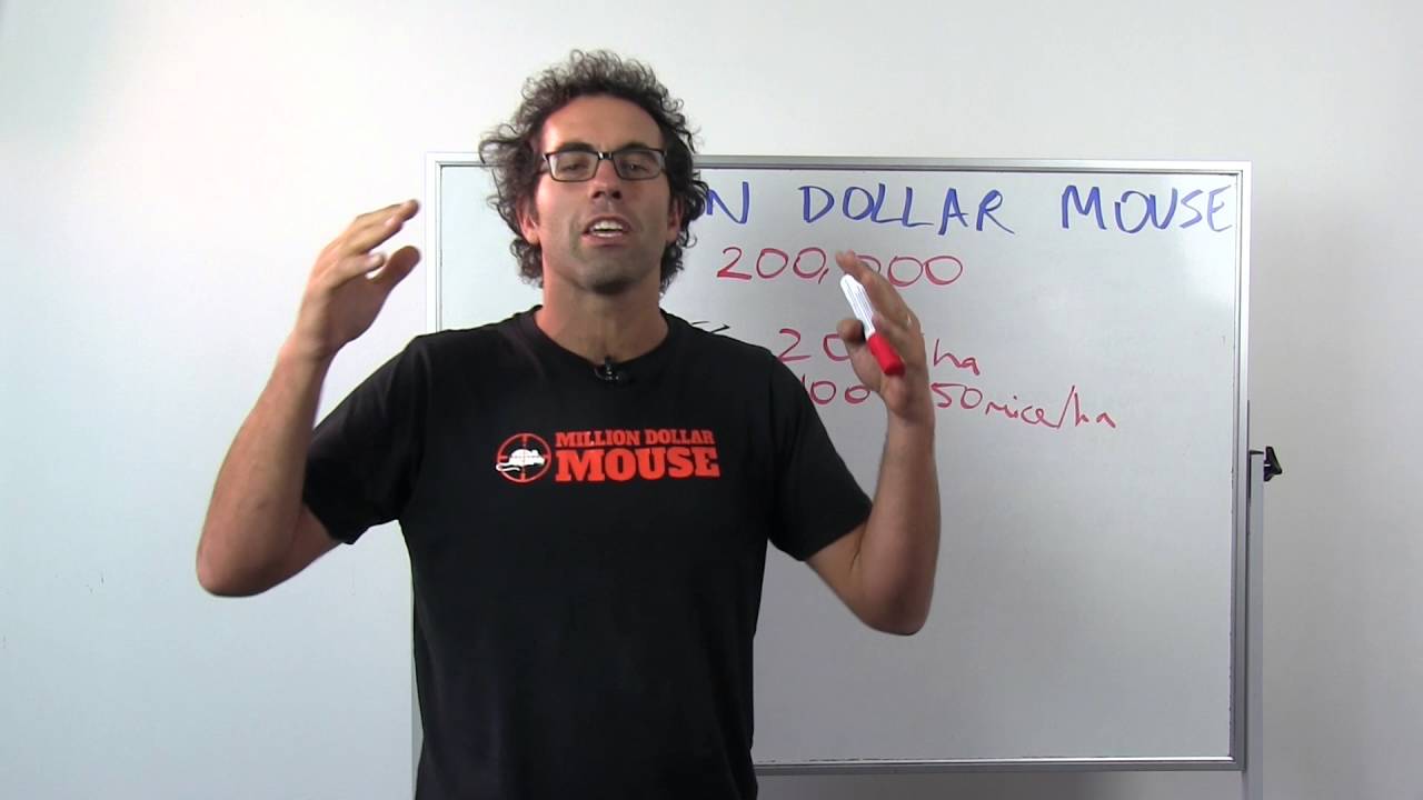 How to exterminate 200k mice on a massive remote island - Whiteboard Friday