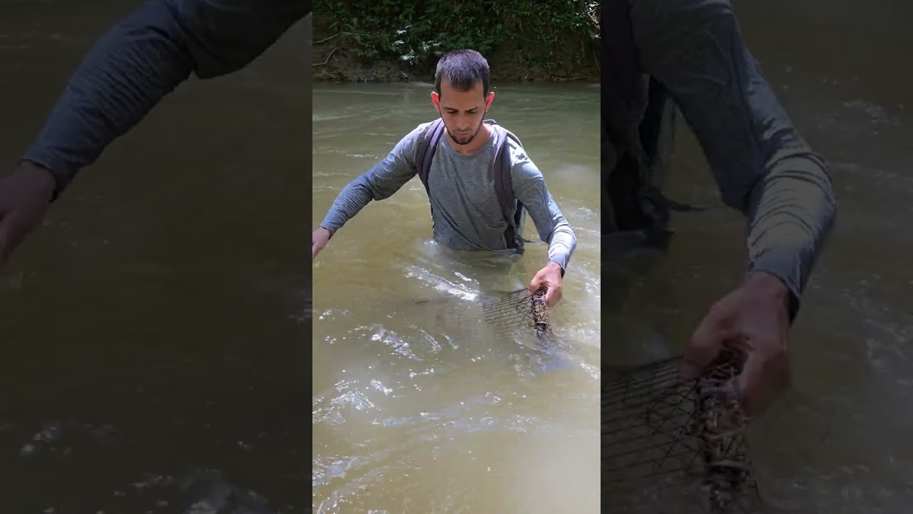 pescando las nasas 🦀🦞🇵🇷🔥