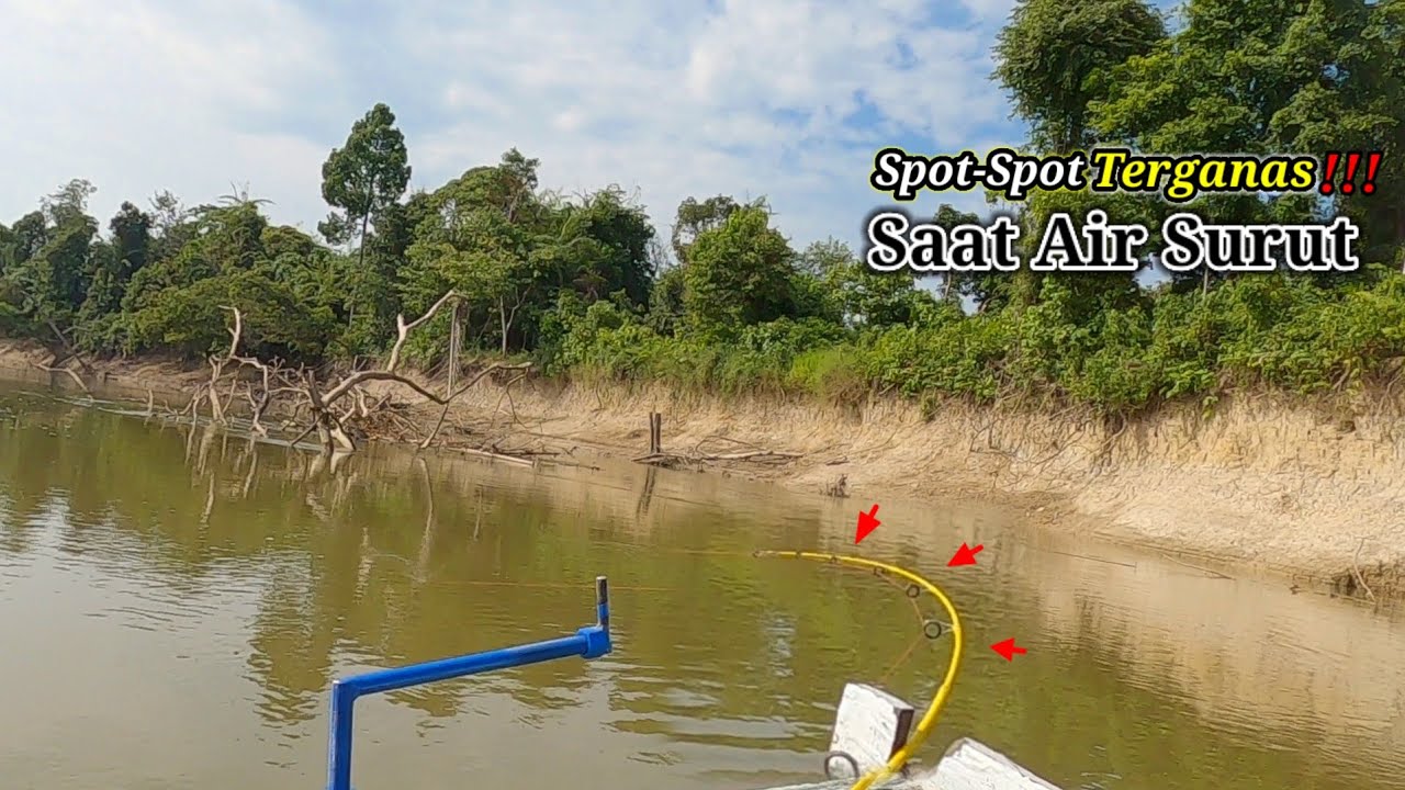MAKIN GILA KETIKA AIR SURUT! Beginilah Keganasan spot-spot mancing ikan Baung