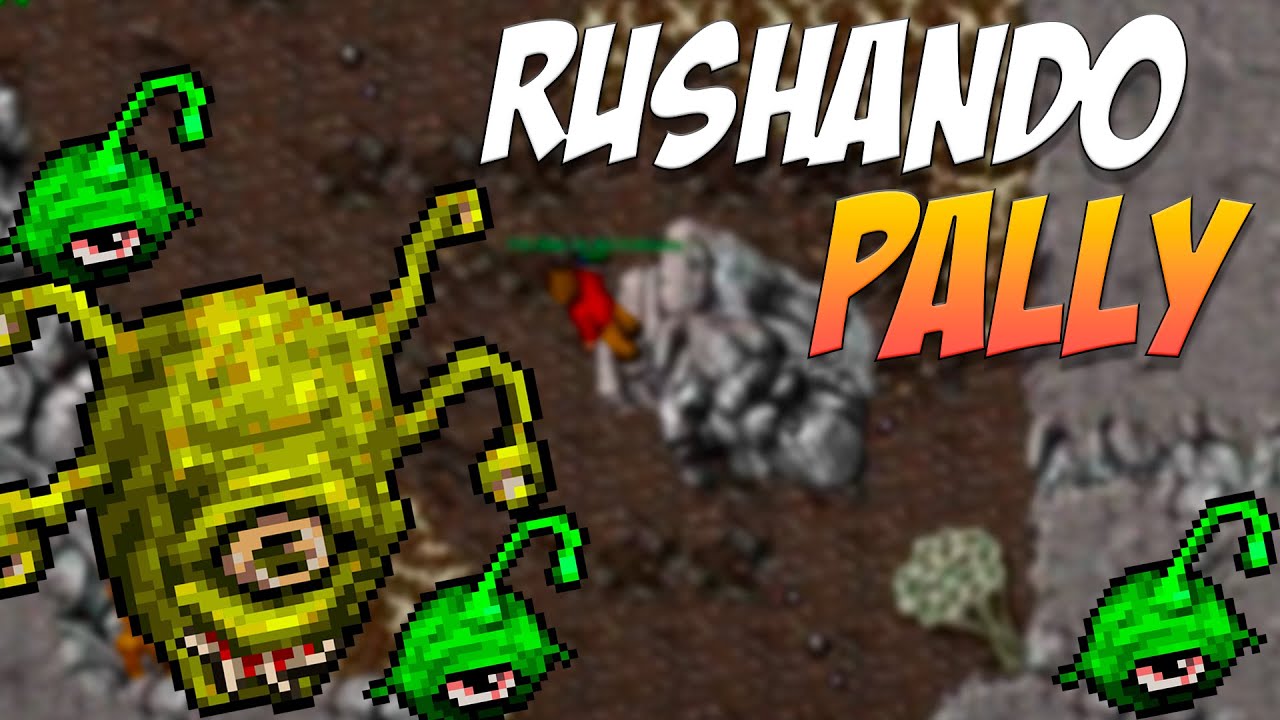 Tibia - Rushando Paladin level 8! 🏹 (PT-BR)