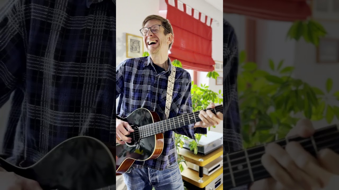 Selbstvermarkter-Blues  #liedermacher #nachmittagamfenster #deutschemusik