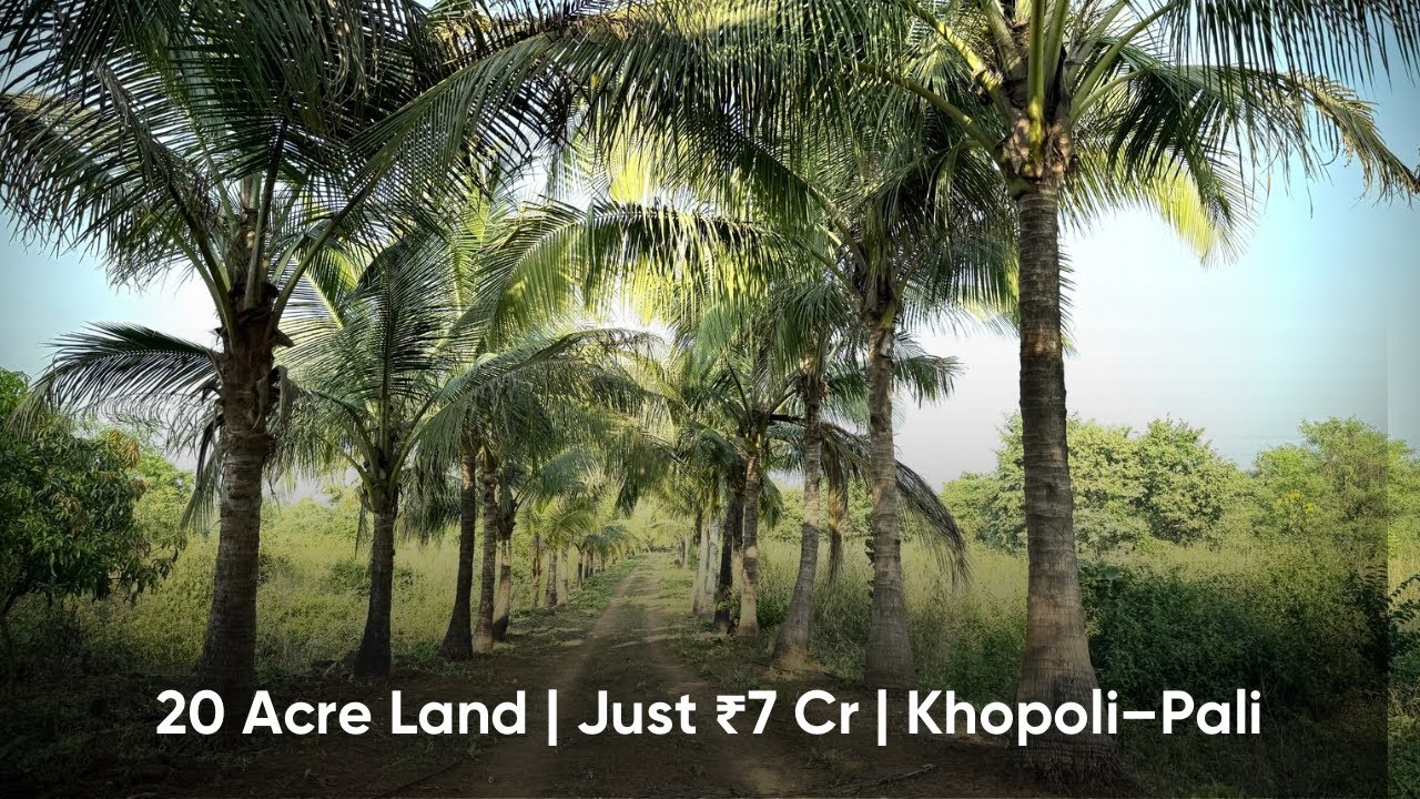 20-Acre Prime Agriculture Land for Sale on Khopoli&ndash;Pali Road 8928004431