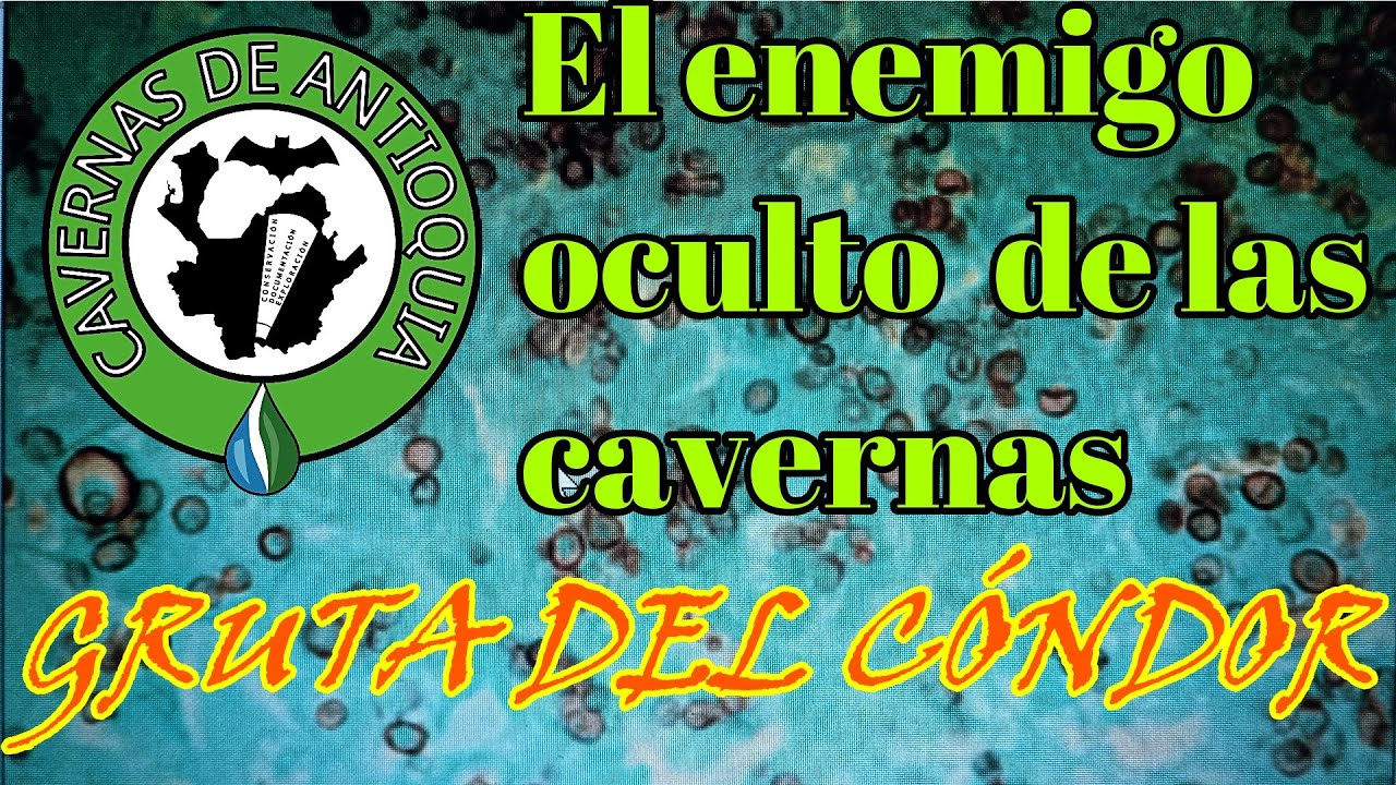 El enemigo oculto de las cavernas-Gruta del cóndor