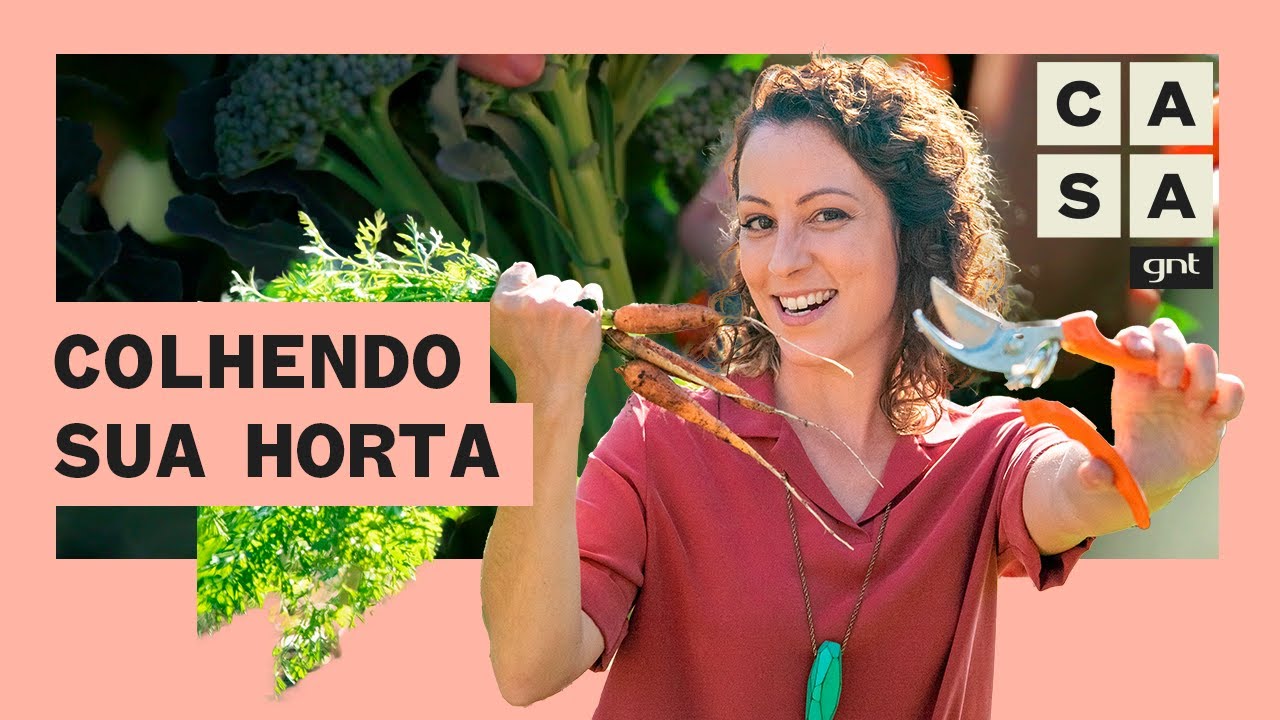 🥕 COLHEITA DE HORTA: aprenda COMO e QUANDO colher seus alimentos | Plante Voc&ecirc; Mesmo | Carol Costa
