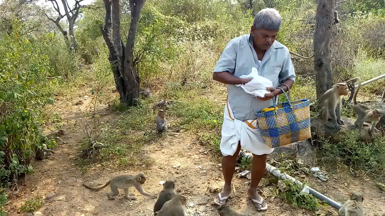 My Dad vs 100+ Wild Monkeys Bonding | Memories