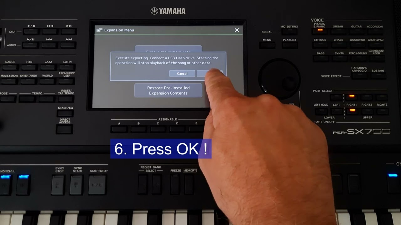 How to get the instrumentinfo.n27 file on Yamaha PSR SX700 and PSR SX900 instruments.