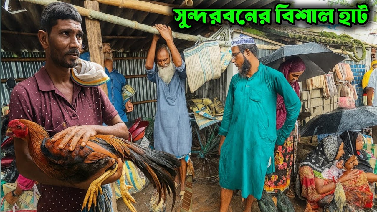 সুন্দরবনের সবচেয়ে বড় হাঁস-মুরগির বাজার । Sundarban’s Biggest Poultry & Duck Market