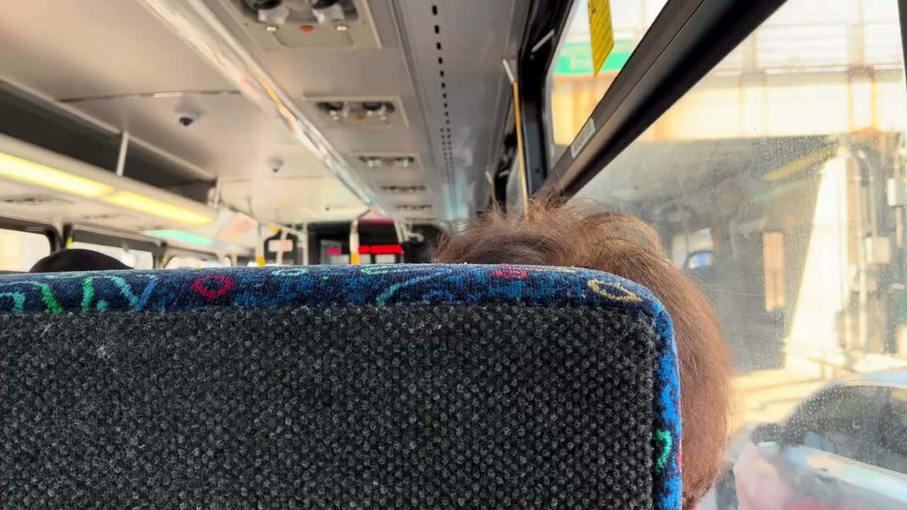 Beeline | Riding The BXM4C Via I-87 In The Bronx