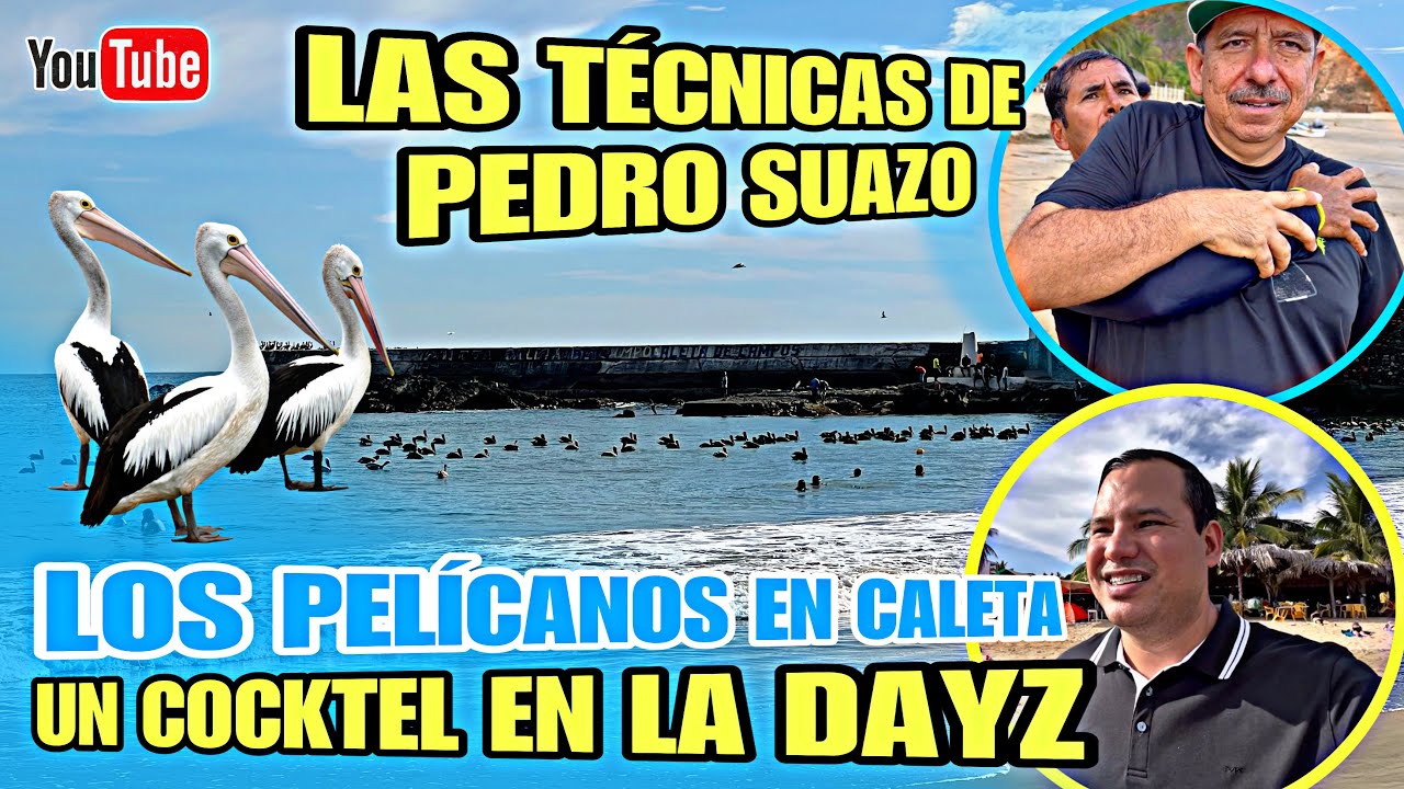 LOS PELÍCANOS INVADEN CALETA DE CAMPOS | Probamos el cocktel en la Enramada Dayz