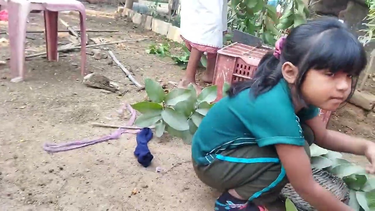 Raani Pari pahla  vlog video mama ghar me 😊 रानी परी का पहला व्लॉग वीडियो मामा घर में 🥰🥰