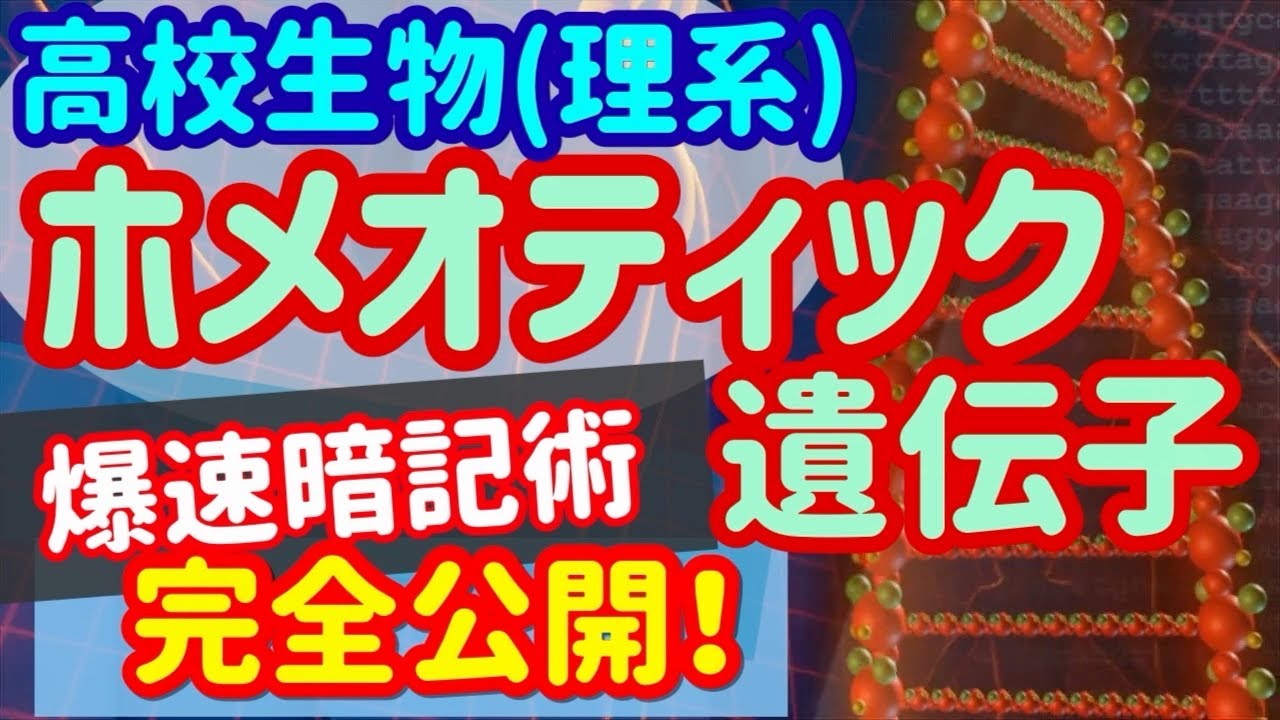 【高校生物 40】発生【ホメオティック遺伝子】を宇宙一わかりやすく