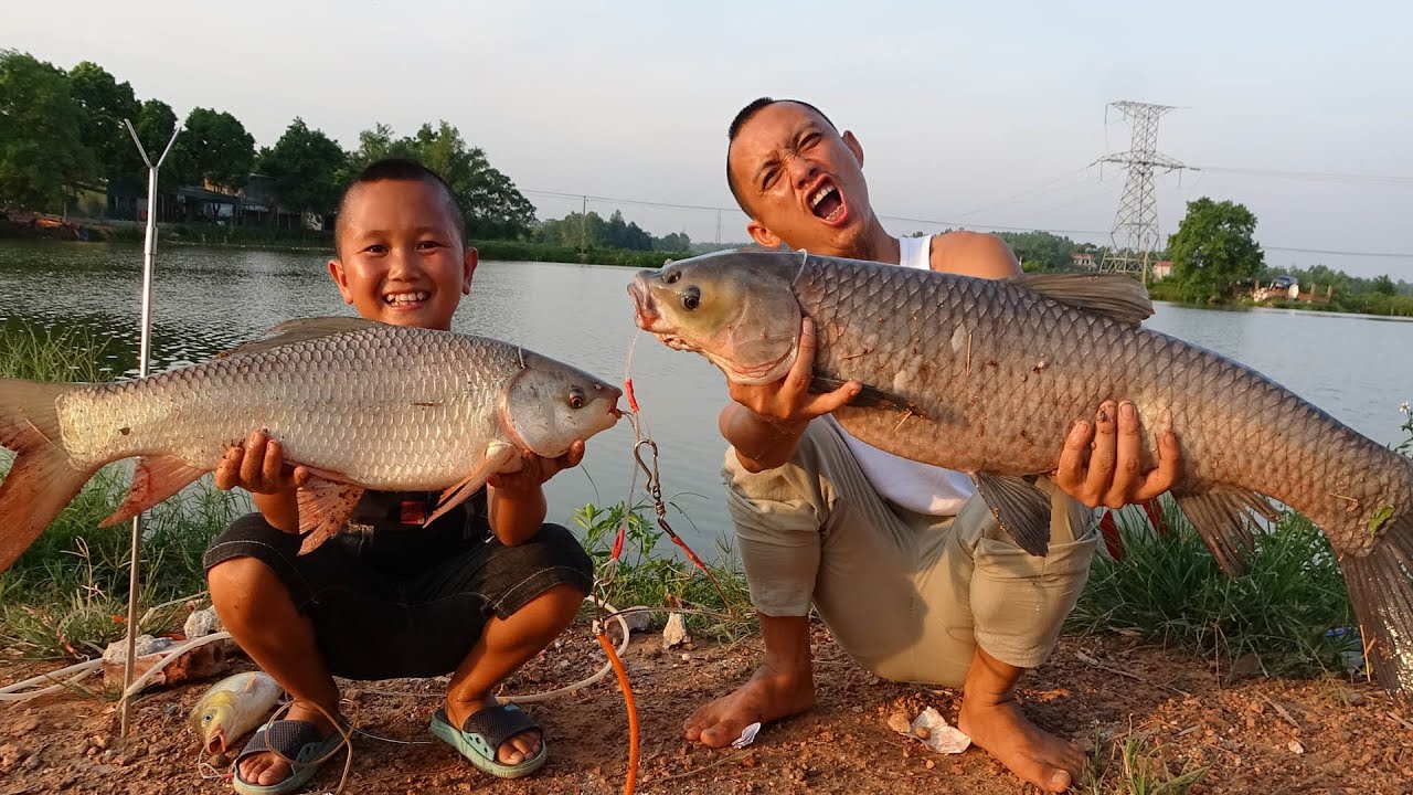 48h Săn Cá Trắm Đên Khủng Cùng Mao Đệ Đệ