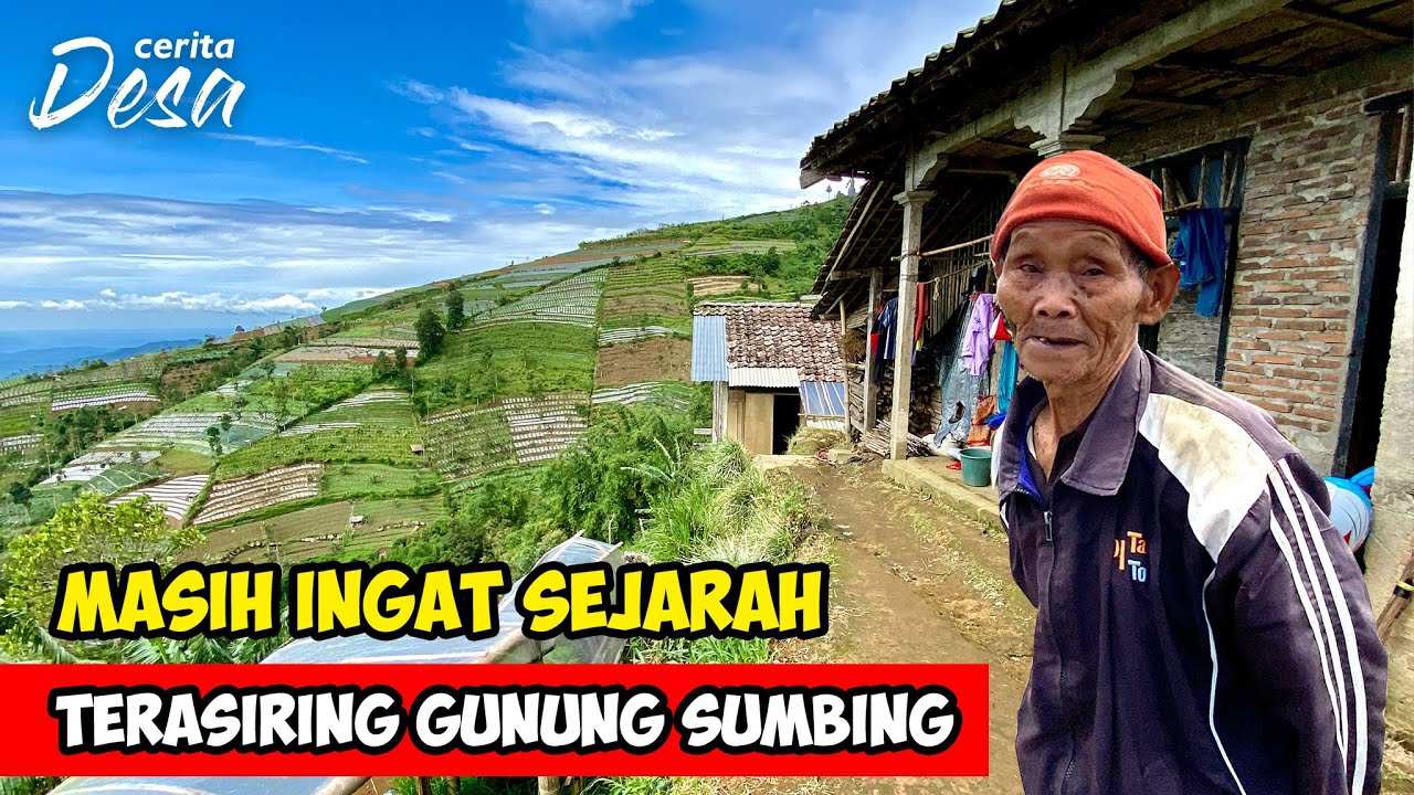 MASIH INGAT SEJARAH DESA !! Keindahan Terasiring Sukomakmur Gunung Sumbing - Petualangan Alam Desaku