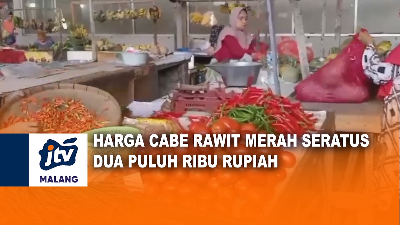 HARGA CABE RAWIT MERAH SERATUS DUA PULUH RIBU RUPIAH | JTV MALANG