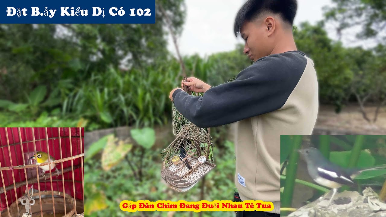 T&igrave;m Chim Di Cư V&agrave; Gặp Đ&agrave;n Ch&ograve;e Đang Đuổi Nhau Gọi C.ứ.u Chợ Mang Mồi Đến
