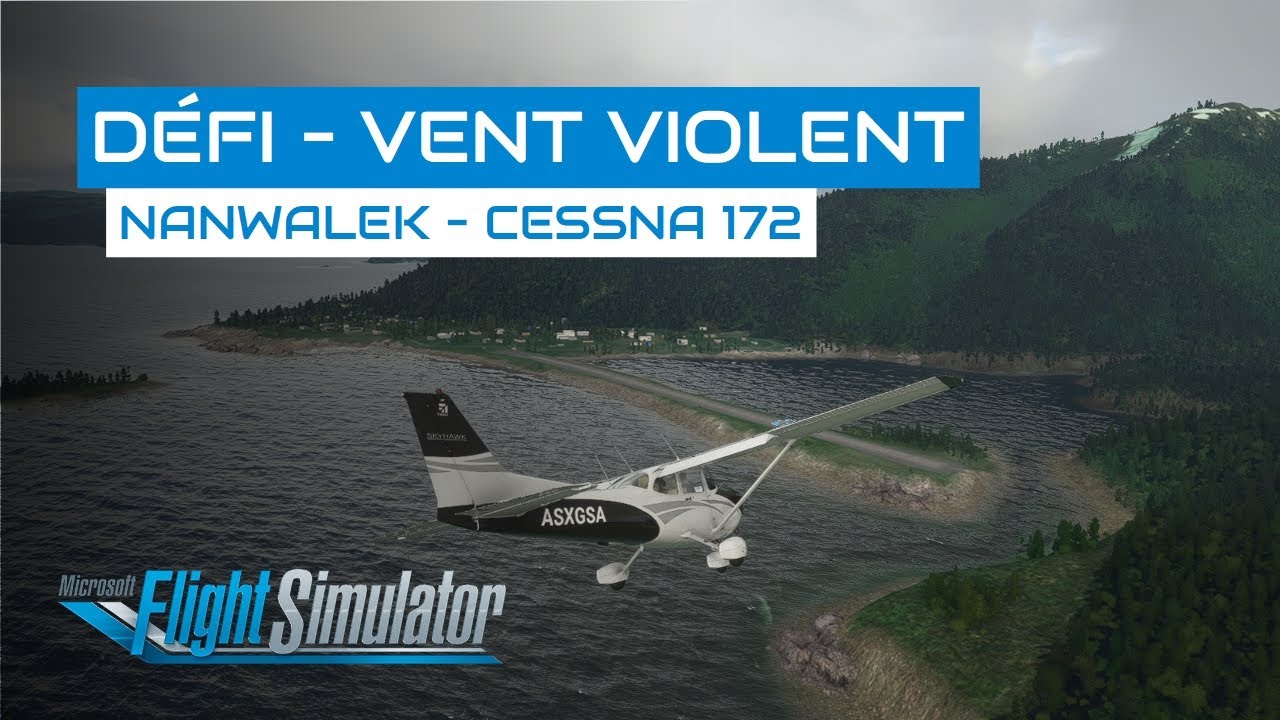 [Flight Simulator] Défi d'atterrissage - Nanwalek en Cessna 172 - DE25