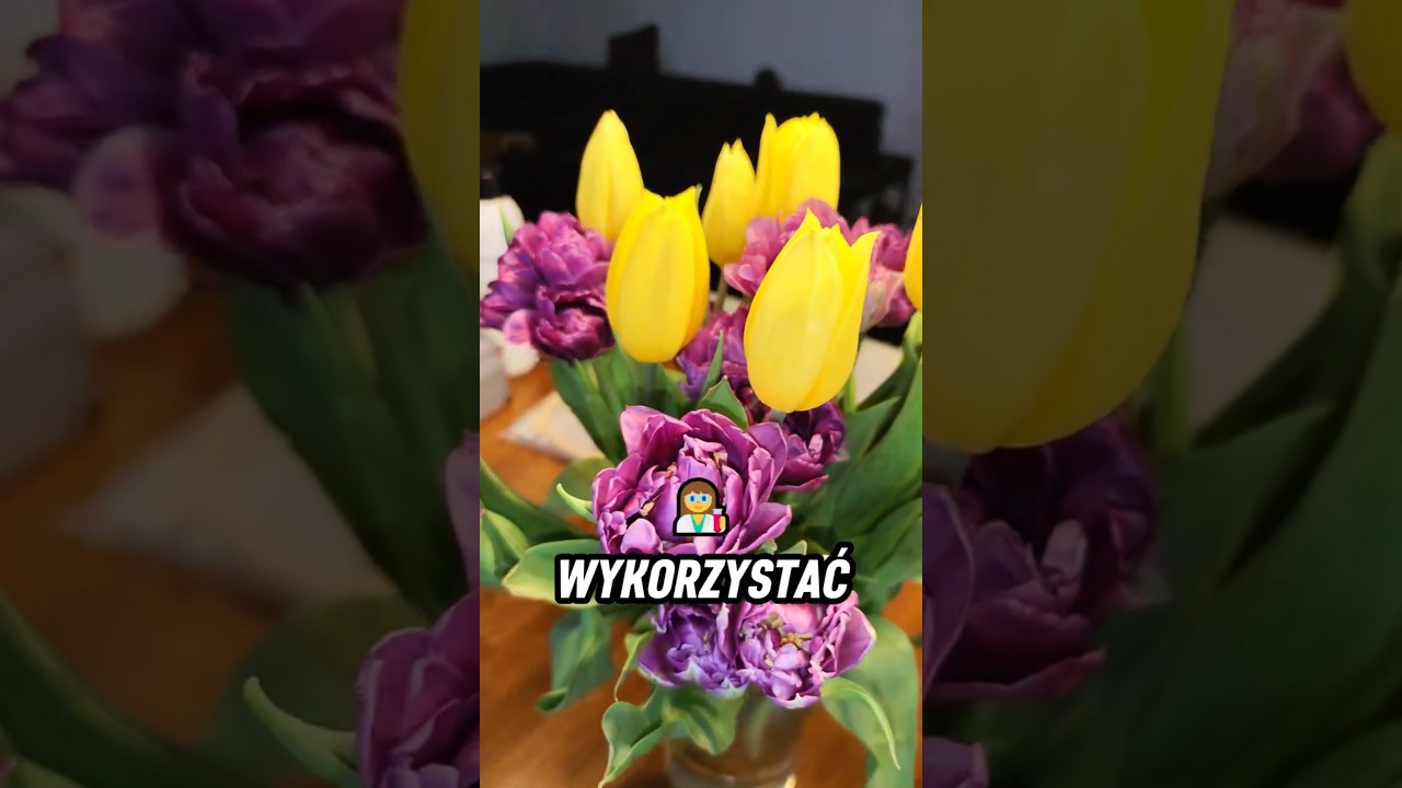 Farbowanie Tulipan&oacute;w! 🌷🧪 Spodziewałem się Czegoś Innego 🤷&zwj;♂️ #tulipany #transpiracja #kwiaty