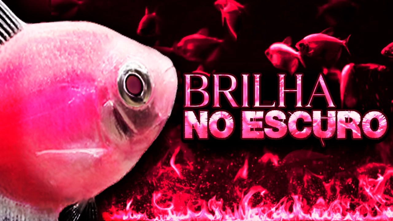 O PEIXE NEON CRIADO EM LABORATÓRIO (GLOFISH)