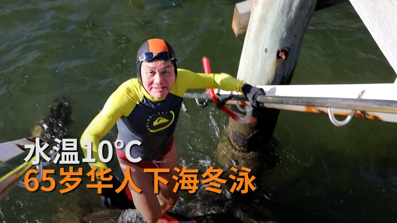 澳洲华人冬泳爱好者：冷水带来的磨练与享受  |故事 | SBS中文