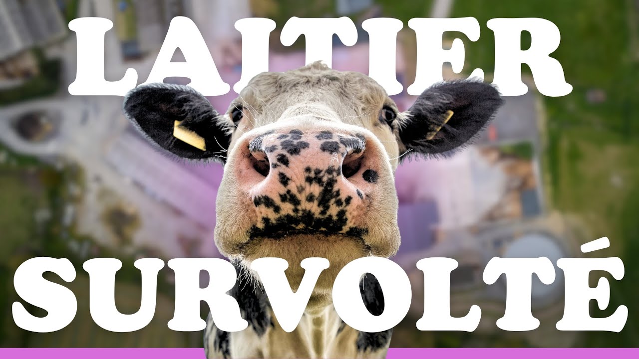 LAITIER SURVOLTÉ : Produire de l'Énergie Verte grâce à la Méthanisation Agricole 🐮⚡️