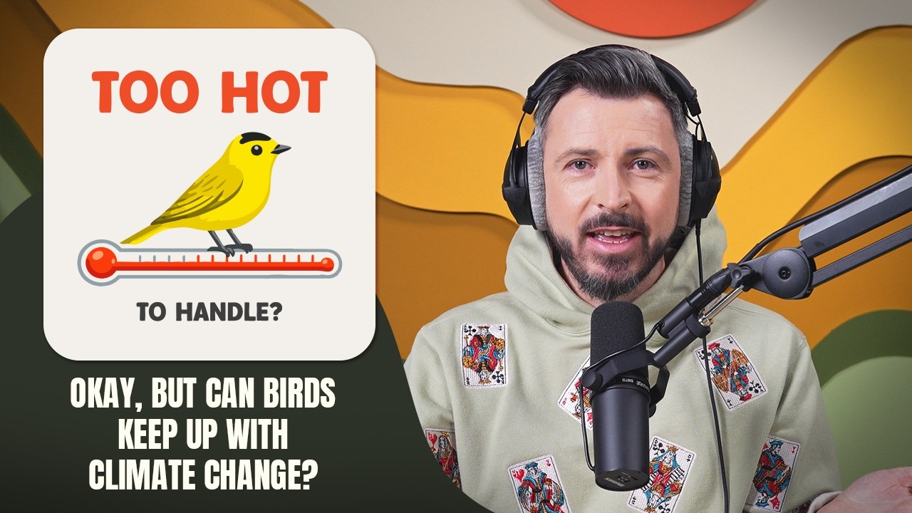 Okay, but can birds keep up with climate change?