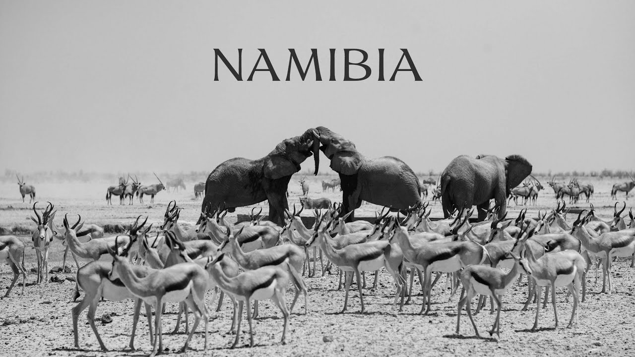 NAMIBIA - (Cinematic Travel Video - 4K)