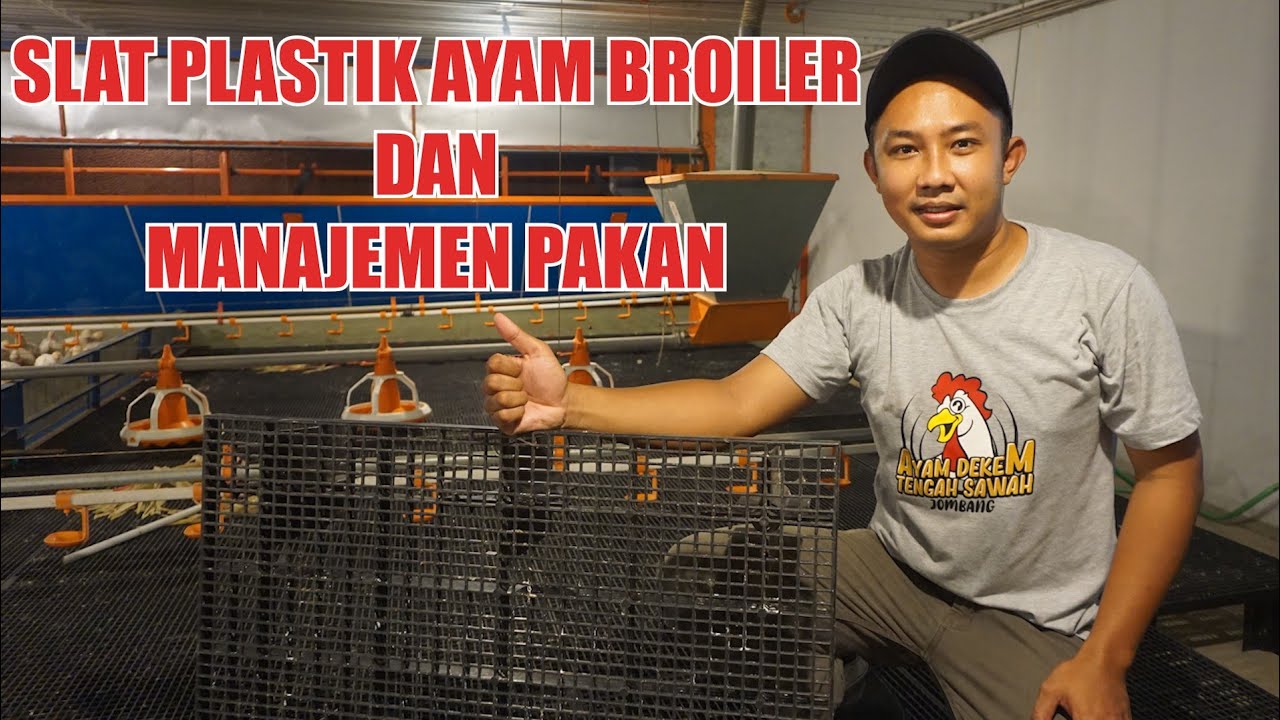 SLAT PLASTIK AYAM BROILER & MANAGEMENT PAKAN